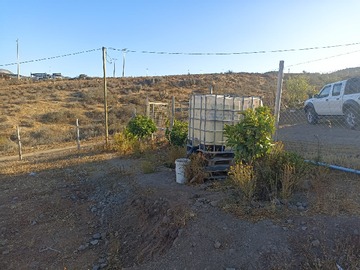 Imagen 8