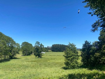 Venta / Terreno / Vilcún