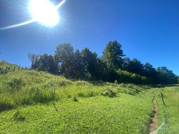 Venta / Terreno / Vilcún