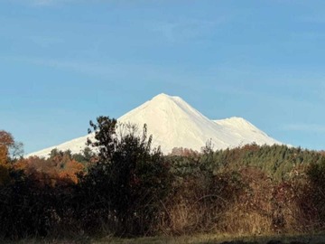 Venta / Terreno / Vilcún