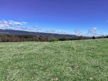 Venta / Terreno / Vilcún