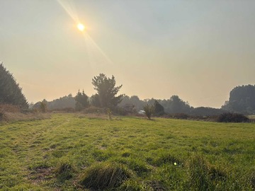 Venta / Terreno / Vilcún
