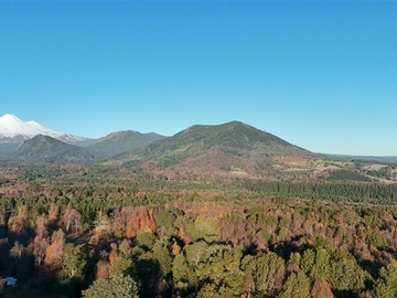 Venta / Terreno / Vilcún