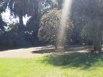 Imagen 4
