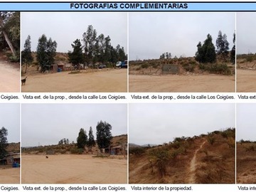 Imagen 9
