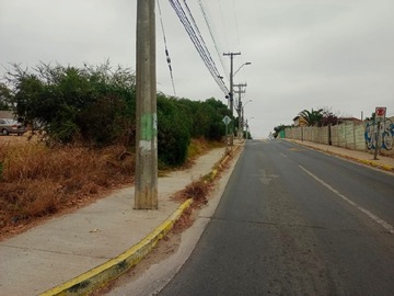 Imagen 7