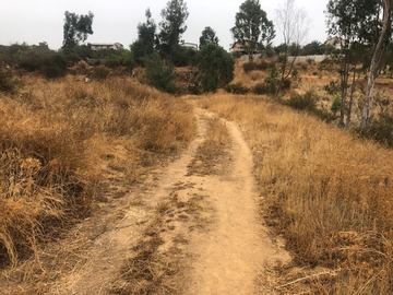 Venta / Terreno / Villa Alemana