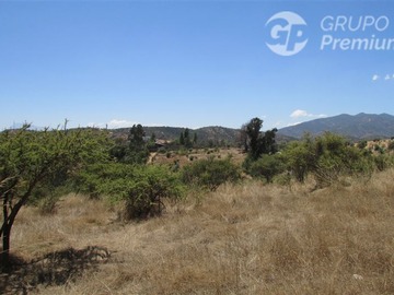 Imagen 8