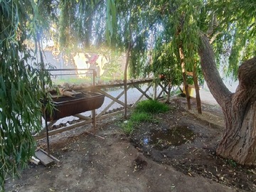 Imagen 17