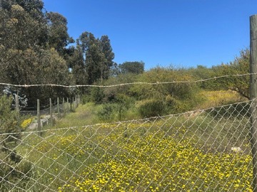 Venta / Terreno / Villa Alemana