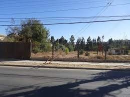 Imagen 6