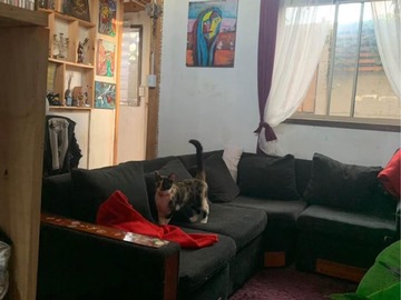 Venta / Terreno / Villa Alemana