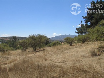 Imagen 6