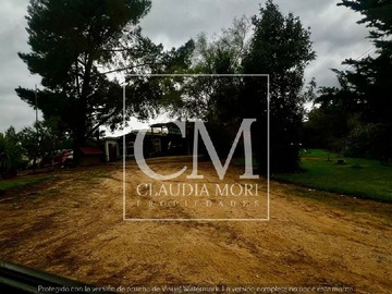 Imagen 8