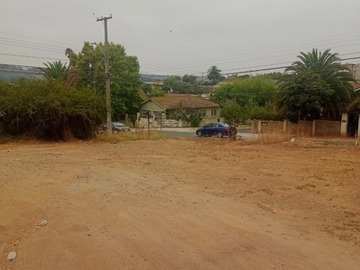 Imagen 11
