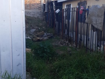 Imagen 7