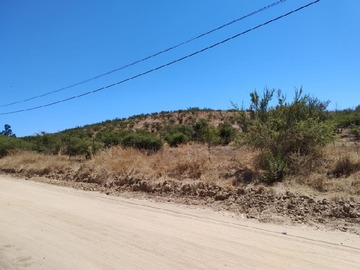 Imagen 5