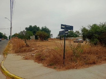 Imagen 9