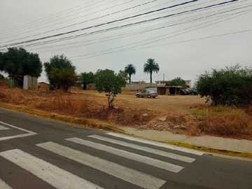 Imagen 6