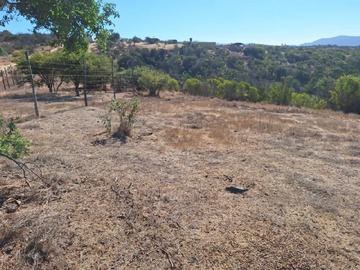 Venta / Terreno / Villa Alemana