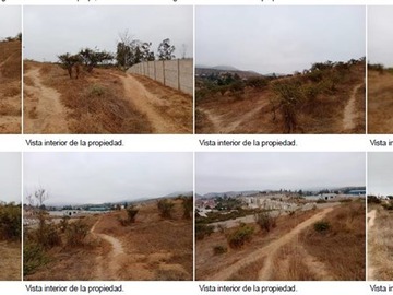 Imagen 10