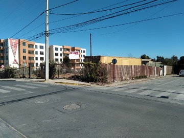Imagen 6