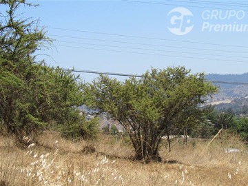 Imagen 20
