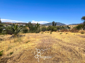 Imagen 6