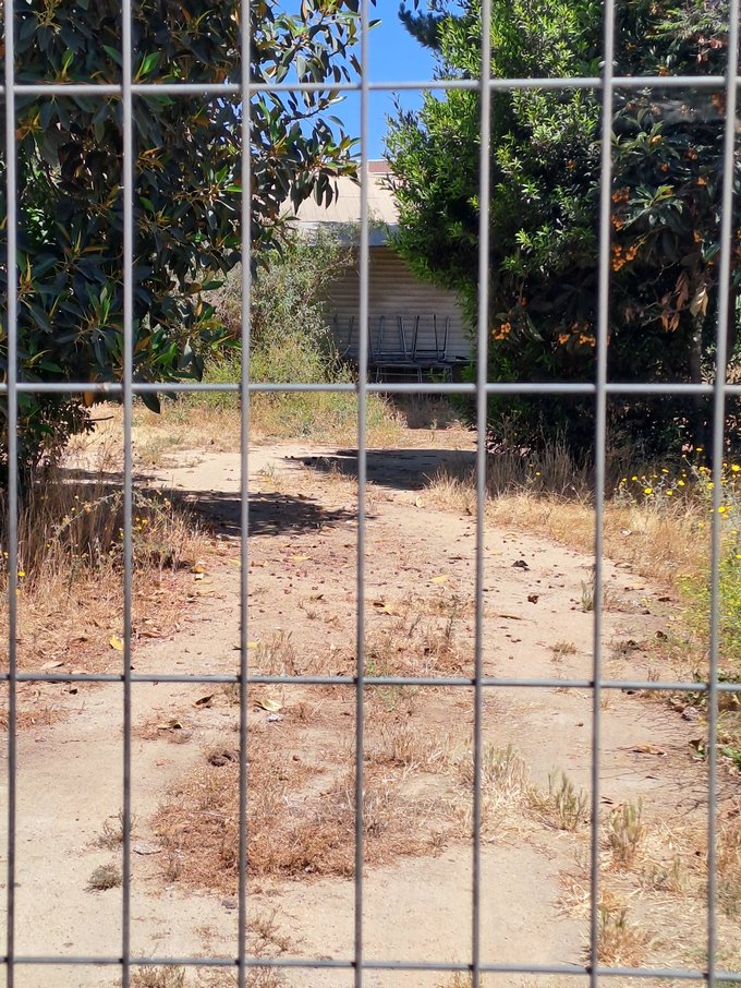 Interior Terreno