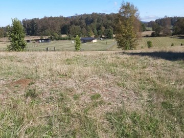 Venta / Terreno / Villarrica