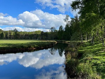 Venta / Terreno / Villarrica