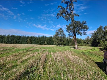 Venta / Terreno / Villarrica