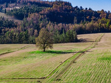 Venta / Terreno / Villarrica