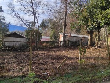Imagen 8