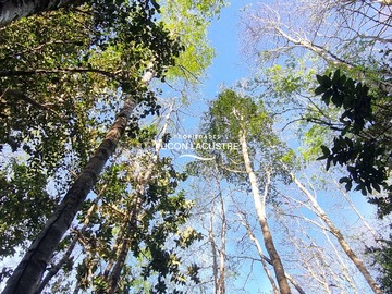 Venta / Terreno / Villarrica