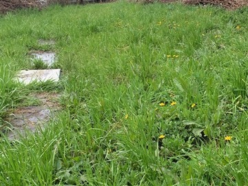 Venta / Terreno / Villarrica