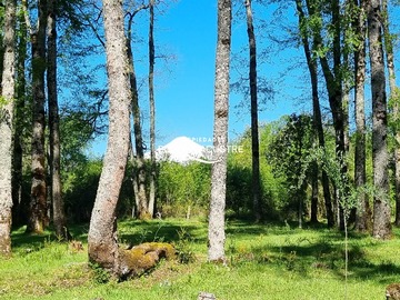 Venta / Terreno / Villarrica