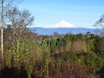 Venta / Terreno / Villarrica