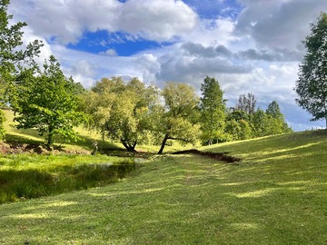 Venta / Terreno / Villarrica