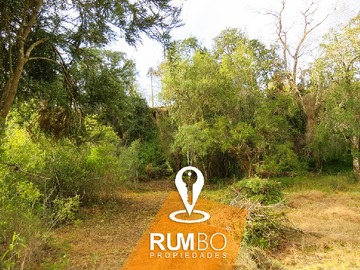 Venta / Terreno / Villarrica