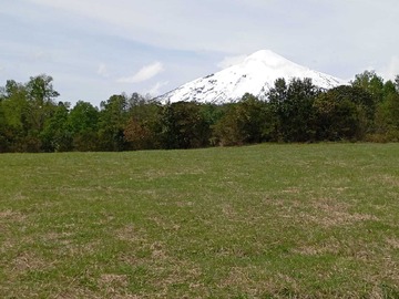 Venta / Terreno / Villarrica