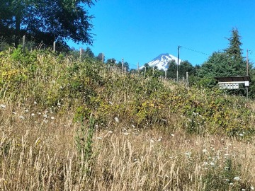 Venta / Terreno / Villarrica