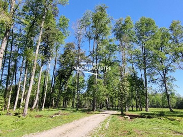 Venta / Terreno / Villarrica