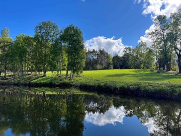 Venta / Terreno / Villarrica