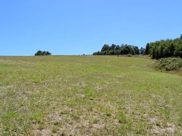 Venta / Terreno / Villarrica