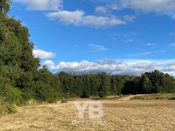 Venta / Terreno / Villarrica
