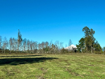 Venta / Terreno / Villarrica