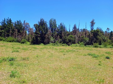 Venta / Terreno / Villarrica
