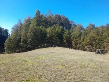 Venta / Terreno / Villarrica