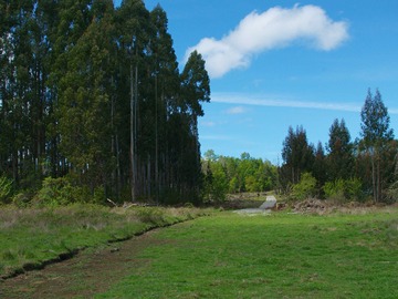 Venta / Terreno / Villarrica